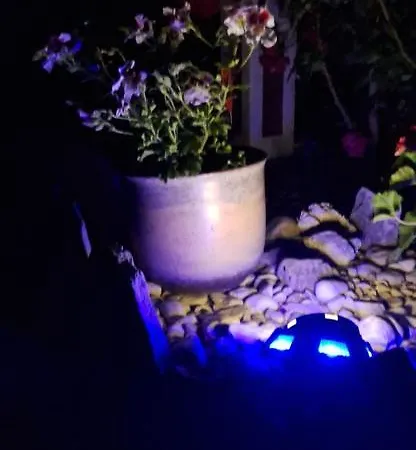 Sanja Апартаменты *